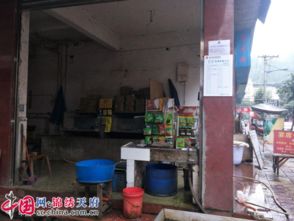 大英縣 食用農產品快速檢測點設到鄉鎮農貿市場，保障新鮮水果零售安全