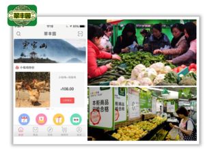 3大戰(zhàn)略12個方法玩轉(zhuǎn)農(nóng)產(chǎn)品新零售 新鮮水果零售實戰(zhàn)指南